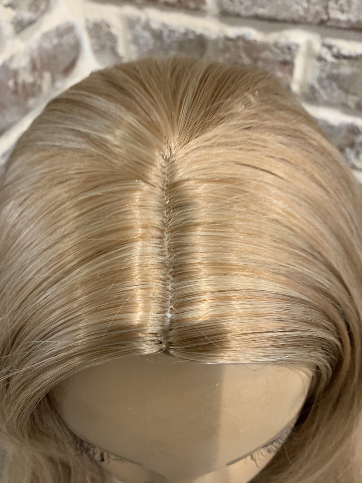 NWOT Silk Blondish Brown With Blonde Tips Wig #116