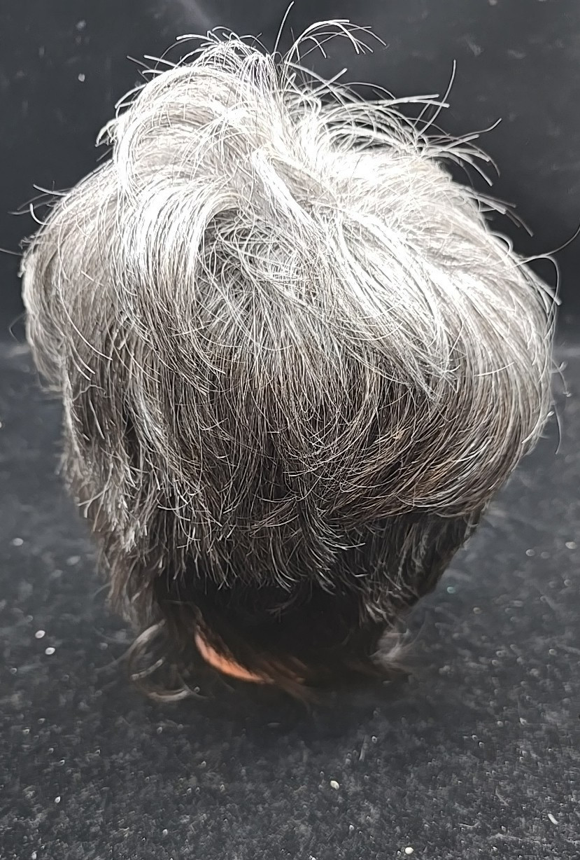 Foxy Silver Wig Razor Cut Shag Japanese Made In Indonesia Misung Modacrylic Gray