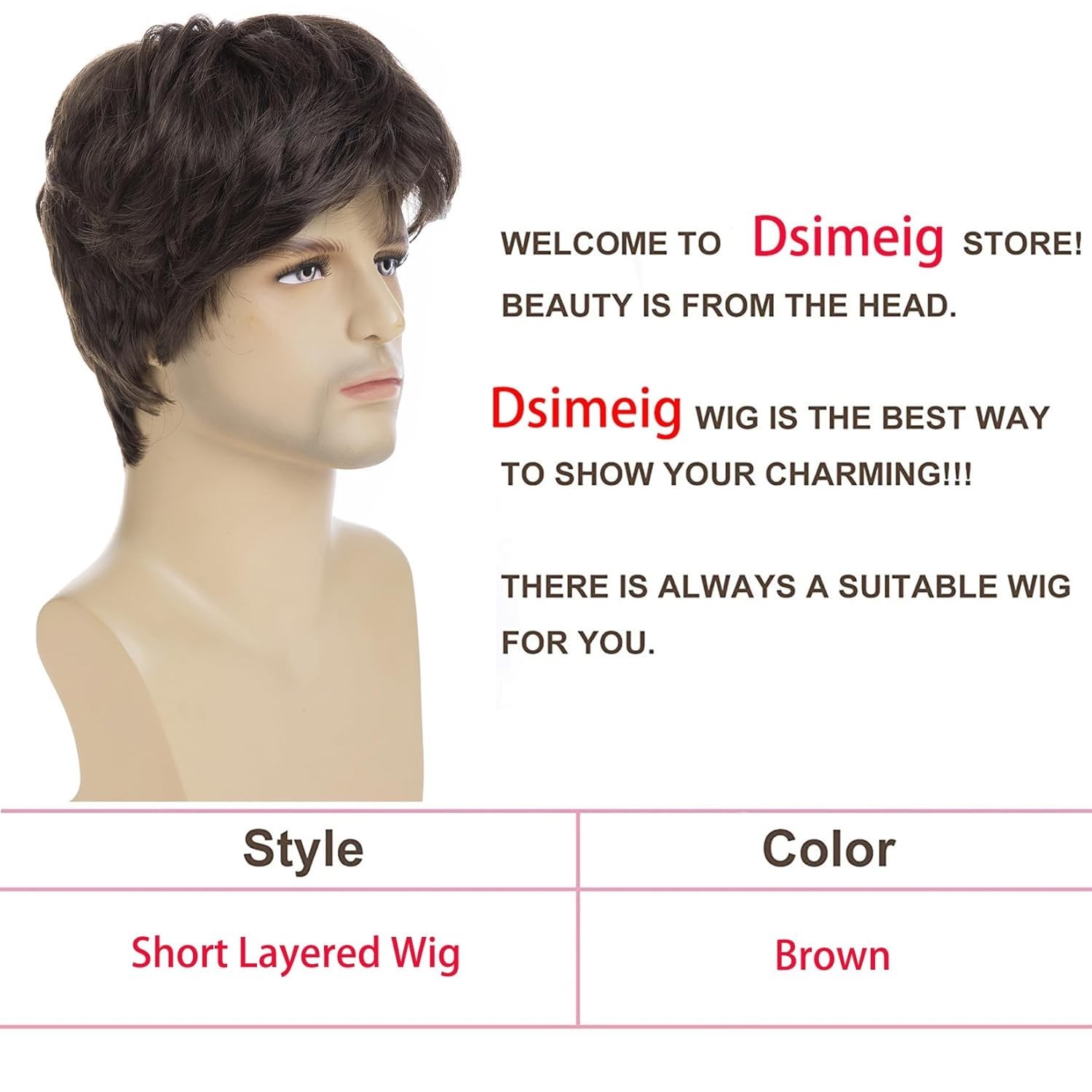 Dsimeig Mens Short Brown Wig Synthetic Natural Replacement Hair Wig for Daily…