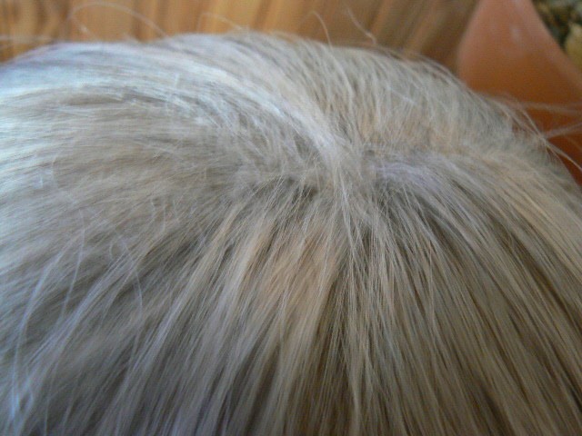 PAULA YOUNG SHADES OF GRAY WIG FOR WOMAN