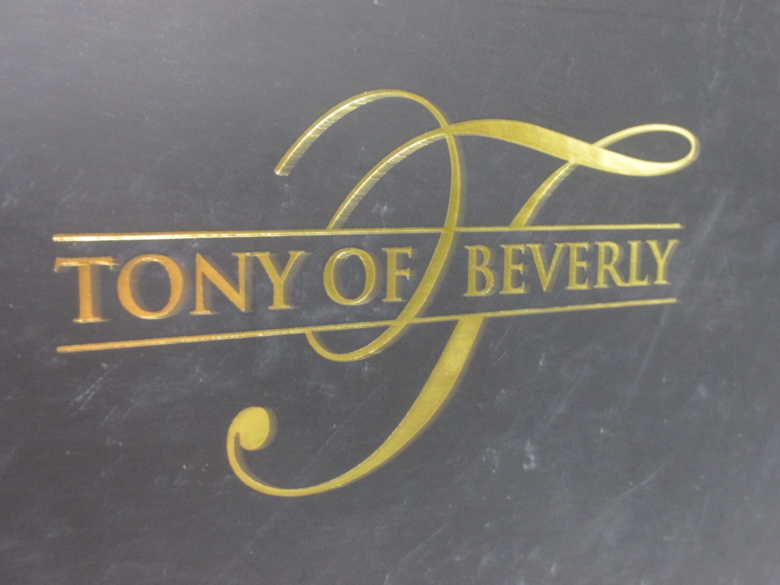 Tony of Beverly Women’s Wig * Frenchy * Caramel Kiss * MSRP $171