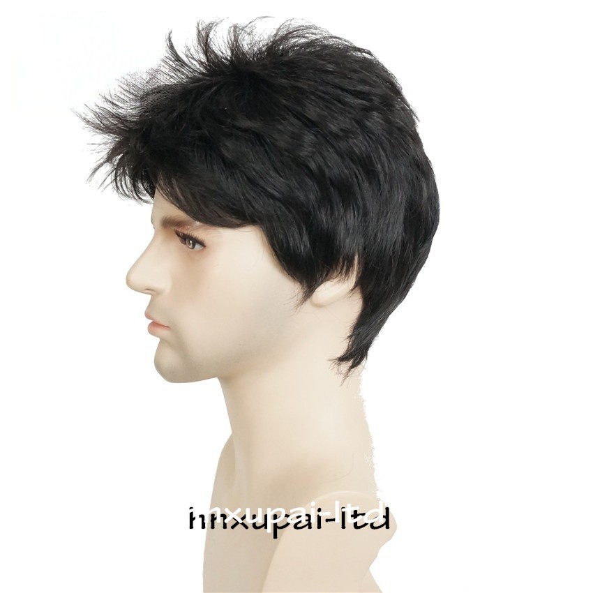 Men’s Black Men Wig Short Full Wigs Little Wavy Synthetic Straight Hair Daily US