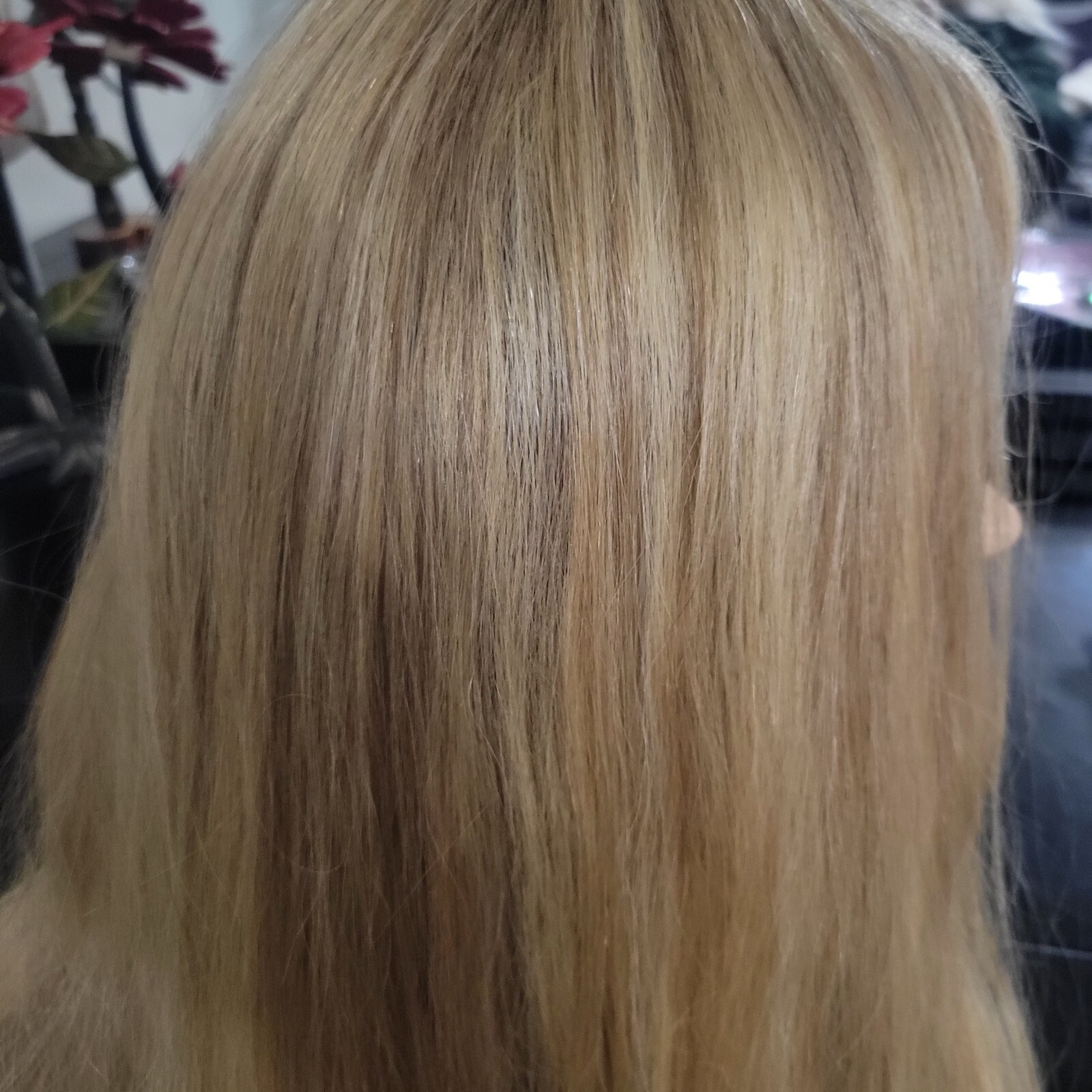 Clary’s 100% Virgin European human hair wig custom highlights blonde – 24 inches