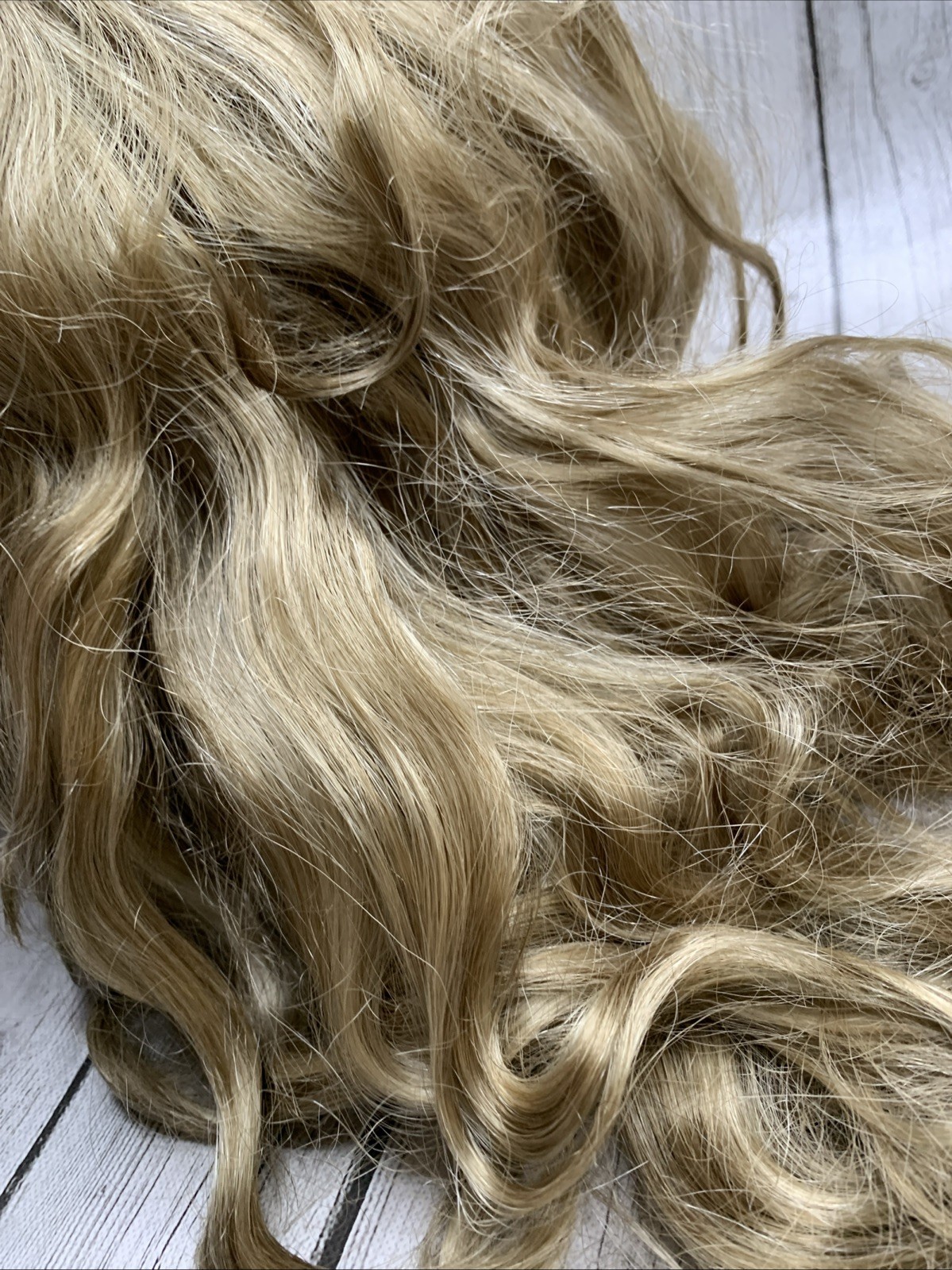Elura Wig Dirty Blonde And Brown Long Hair