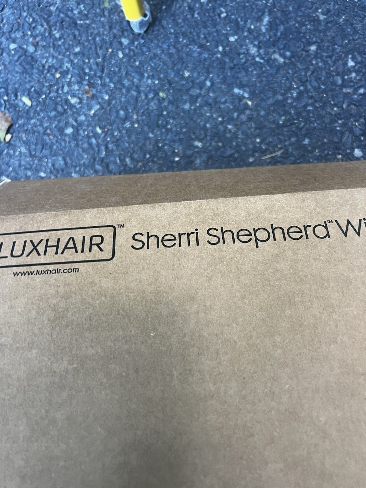 Sherri Shepherd Wigs Luxe Hair Taper Tomboy Silver/Gray Pixie