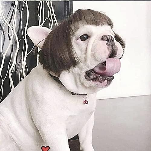 Versatile Black Brown Dog Costume Wig – Celebrate Halloween & Christmas