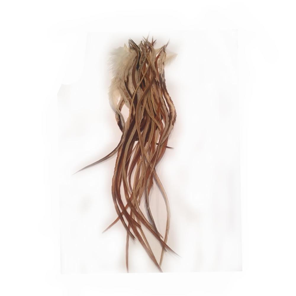 25 Feather Hair Extension 8 -12 in Length Beautiful Natural Beige & Brown Feathe