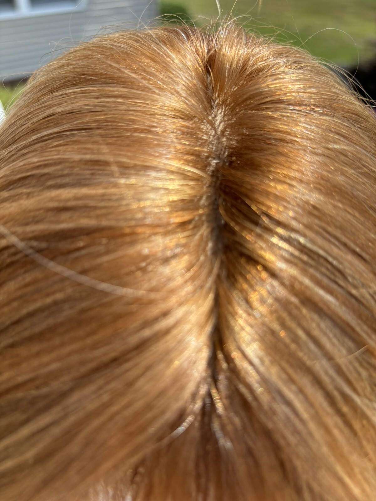 Silk Top Human Hair Wig