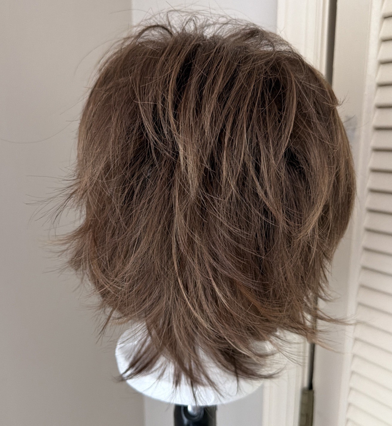 Noriko Sky Wig Large Cap Raisin Glaze W Highlights Lace Front Layered Straight