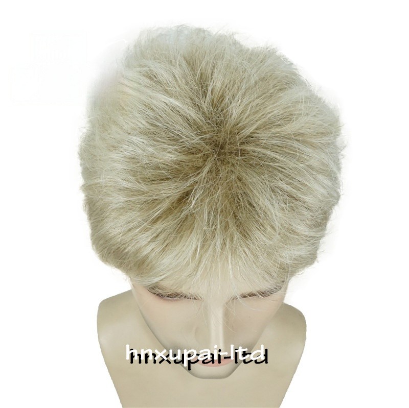 Men’s Black Men Wig Short Full Wigs Little Wavy Synthetic Straight Hair Daily US