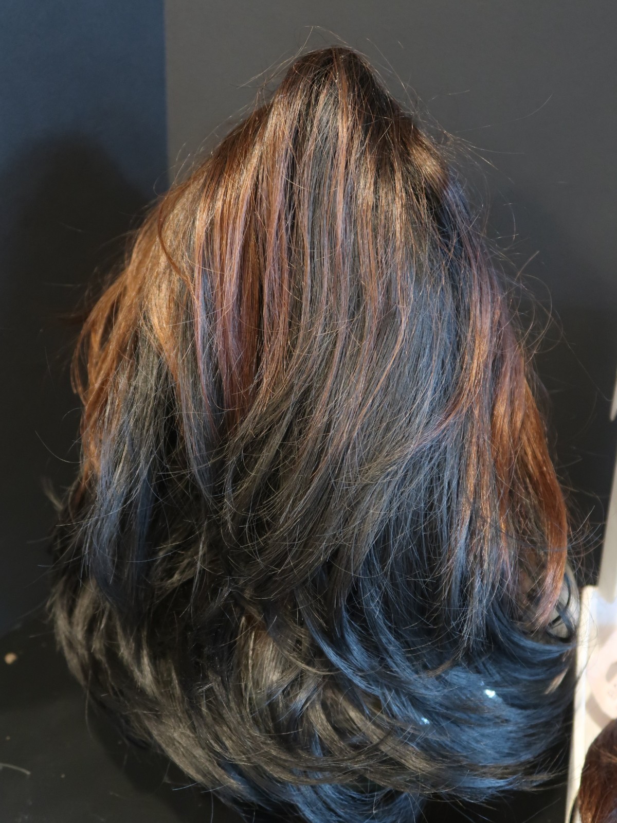 WIGSBUY OMBRE #10 SYNTHETIC WIG LAYERED WITH BANGS CAPLESS COOL MESH CAP-(2)