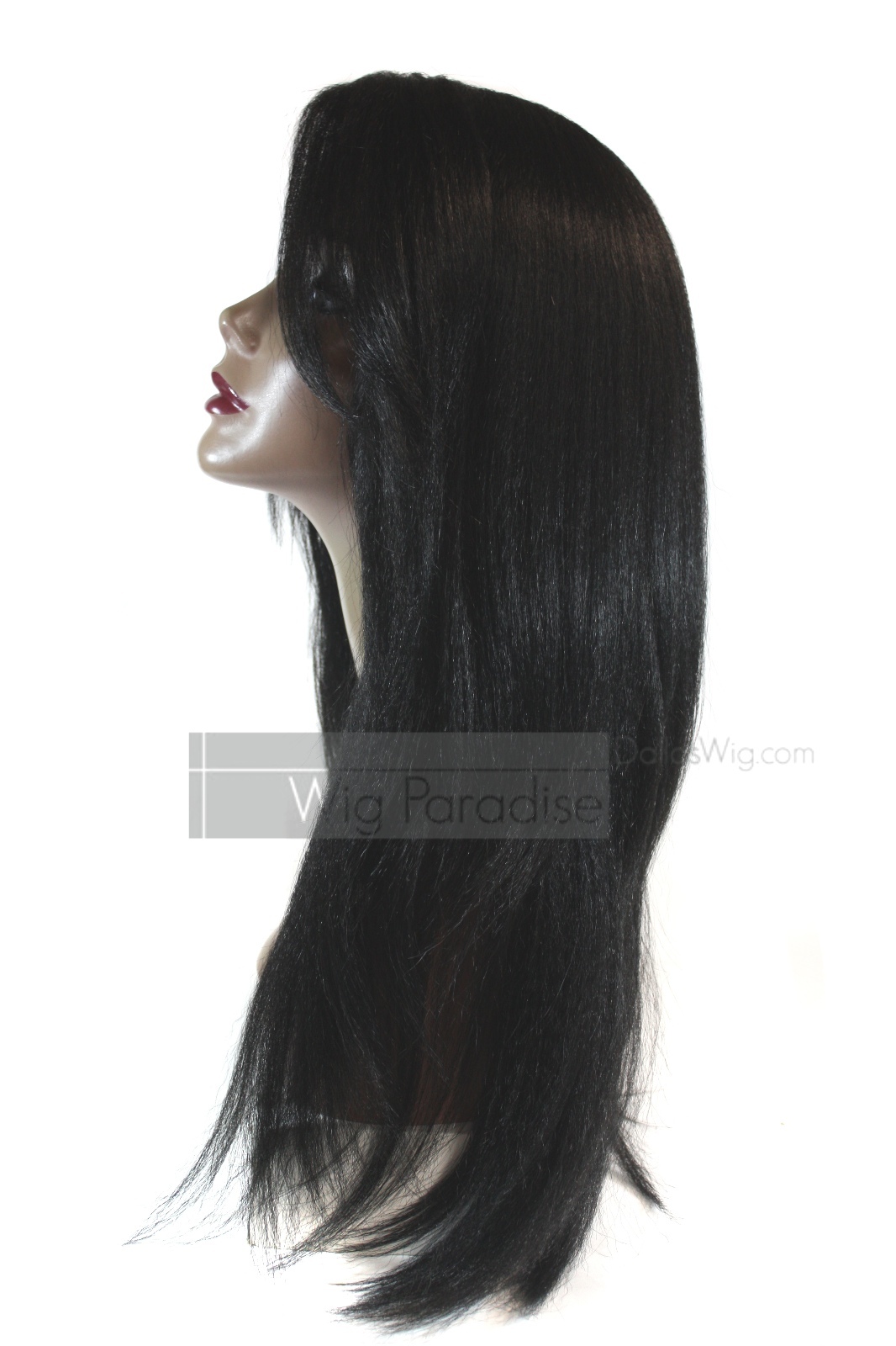 Signature Looks Synthetic Straight Coarse Yaky Texture SK519 Lace Front Wig