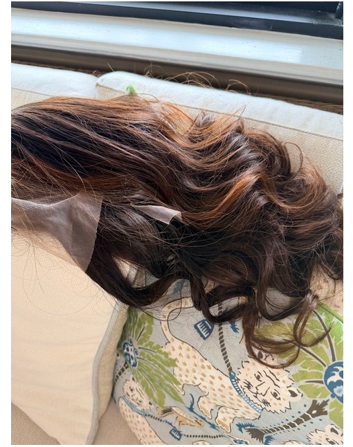 Brown Highlight Short Wig HD Lace Front Wig 100% Human Hair Wig