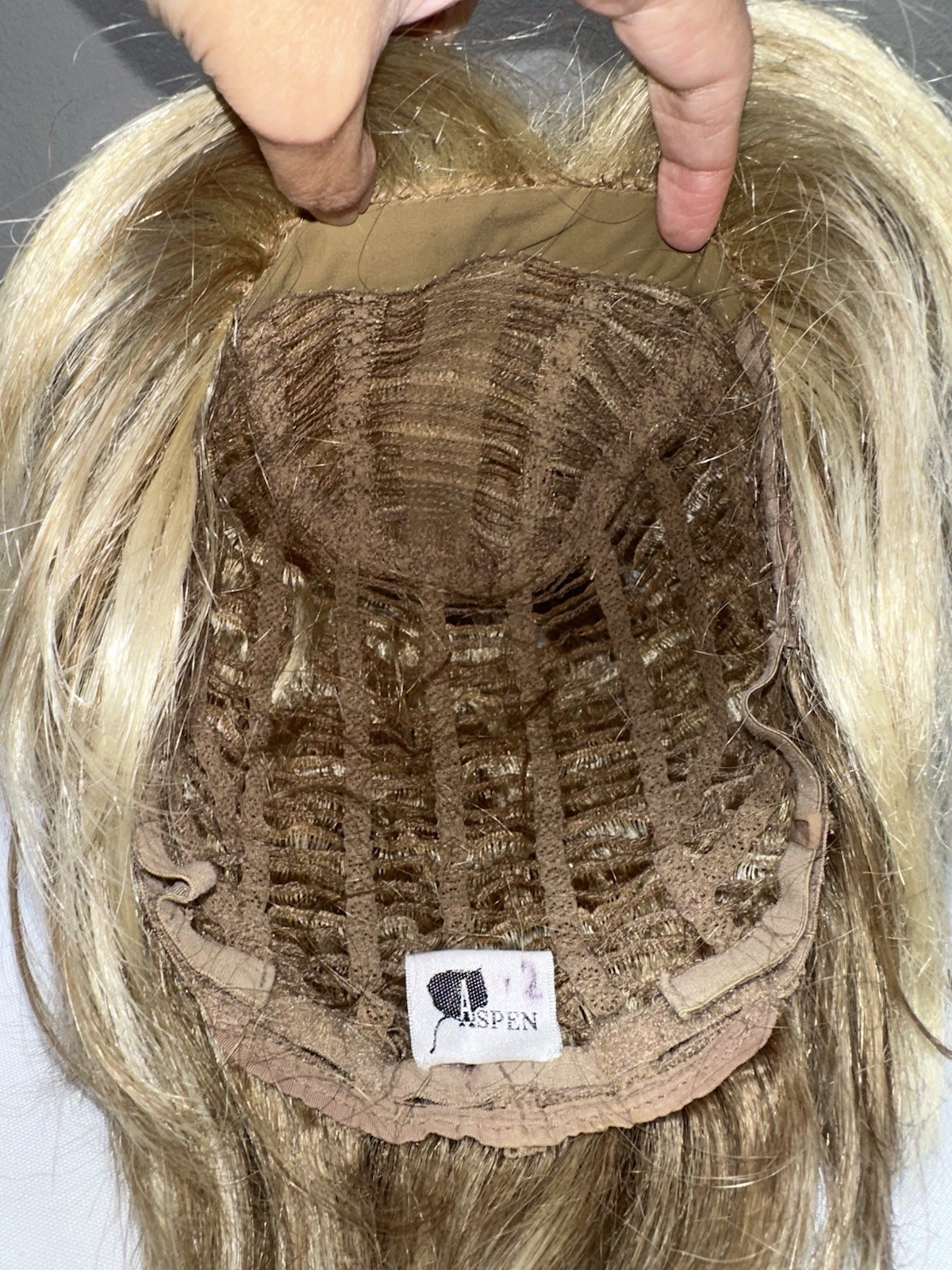 Aspen #2 Short Highlights Blonde Brown Mixed Layered Wig