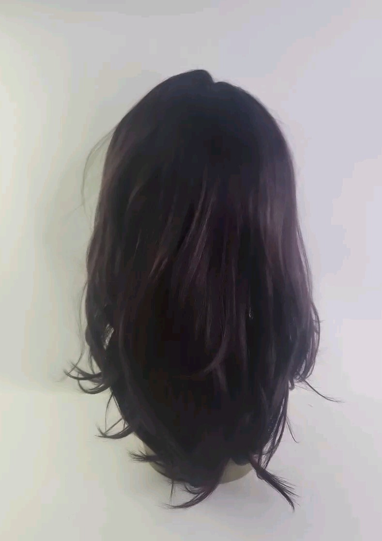 FreeTress Equal Lace Front Deep Invisible L Part Wig Color OP999J Purple/ Black