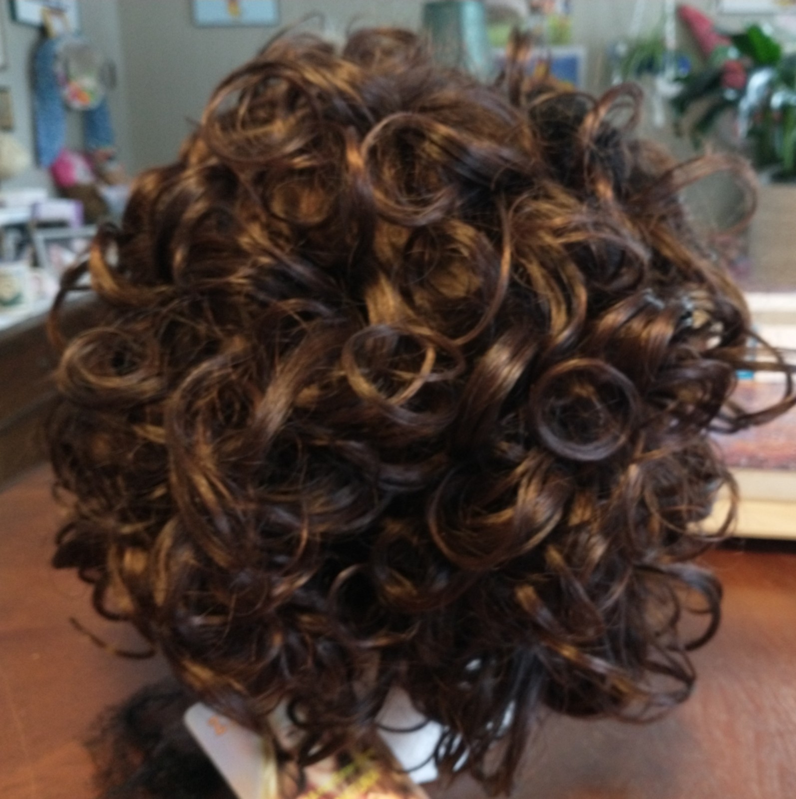 Women’s Brunette Curly Wig With Tag~New~Net~Care Instructions~Adjustable Fit~EXC