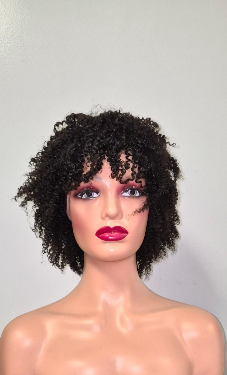 Black Afro Kinky Wig