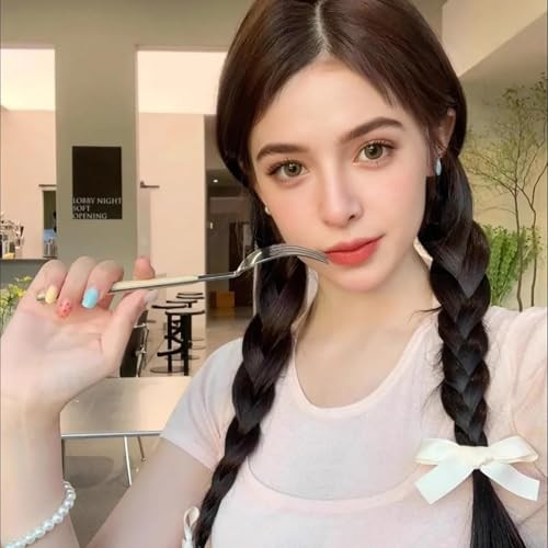 Braided Ponytail Hair Extensions Clip-In 2-Pack | 17 Inch Synthetic Dark Brown