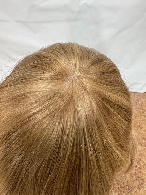 100% Human Hair Wigs-Short -America Style-Lighter TonesDiff Shades-CHOOSE SHADE*