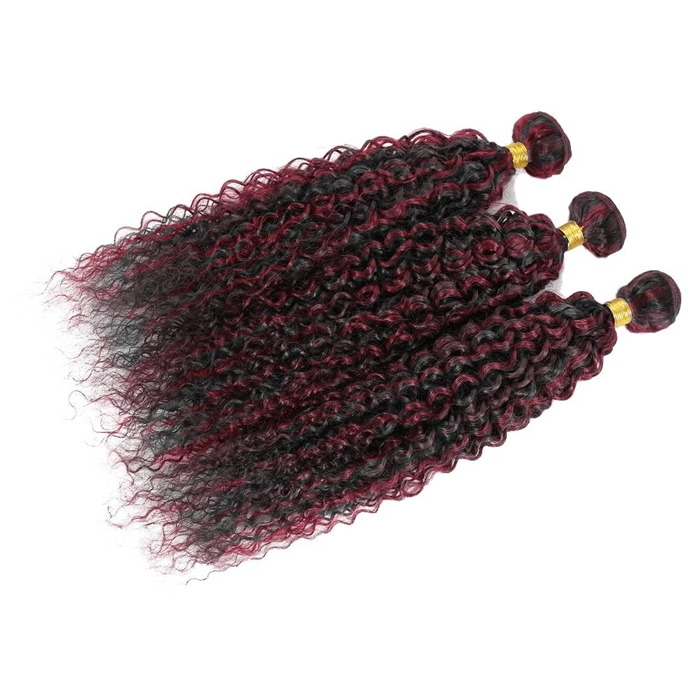 Luxvogue 16 18 20 Inch Inch Burgundy P1B/99J Jerry Curly Human Hair Bundles