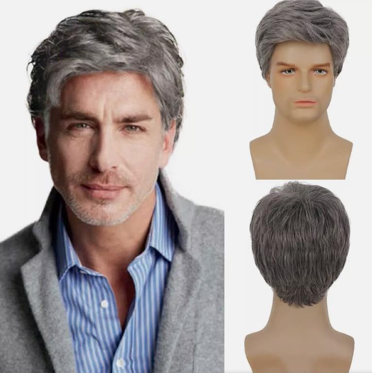 Men’s Grey Short Wig Heat Resistant Natural Male Cosplay Daily Hair Wigs