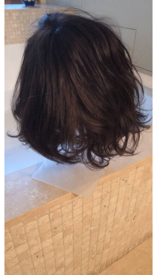 Short Bob Ombre Dark Brown Wigs with Bangs 100% Human Hair Wigs None Lace