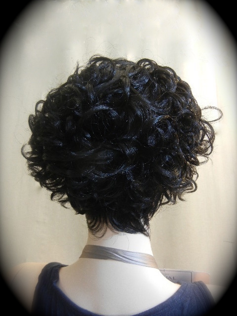 Shake-n-go Freetress EQUAL Synthetic Wig NAME: KIM short unbalanced Curly style