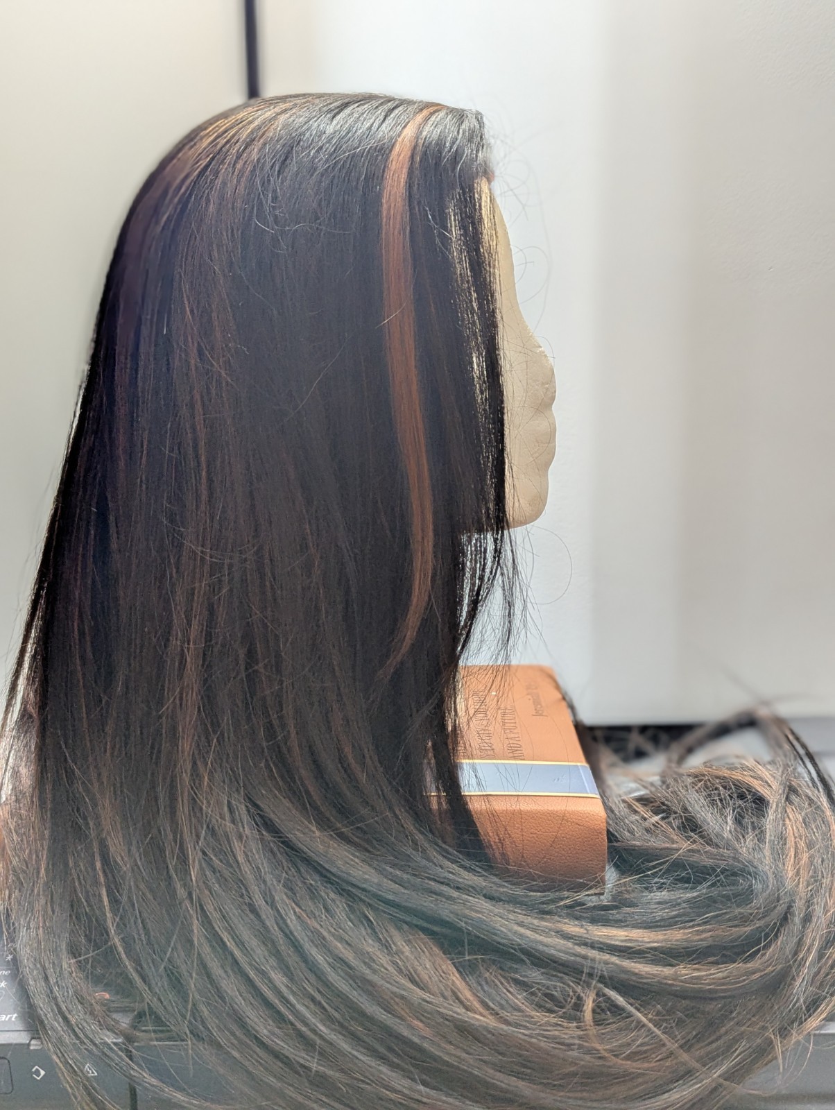 Wig – Human Hair Blend – Long Straight Layered Brown Heat Resistant – Brazilian