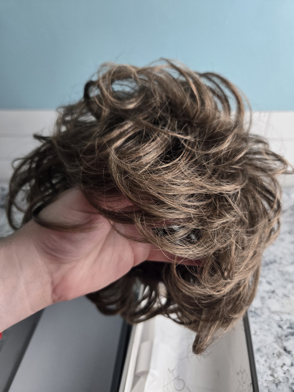 Raquel Welch Signature Wig Salsa Large R12T Pecan Brown