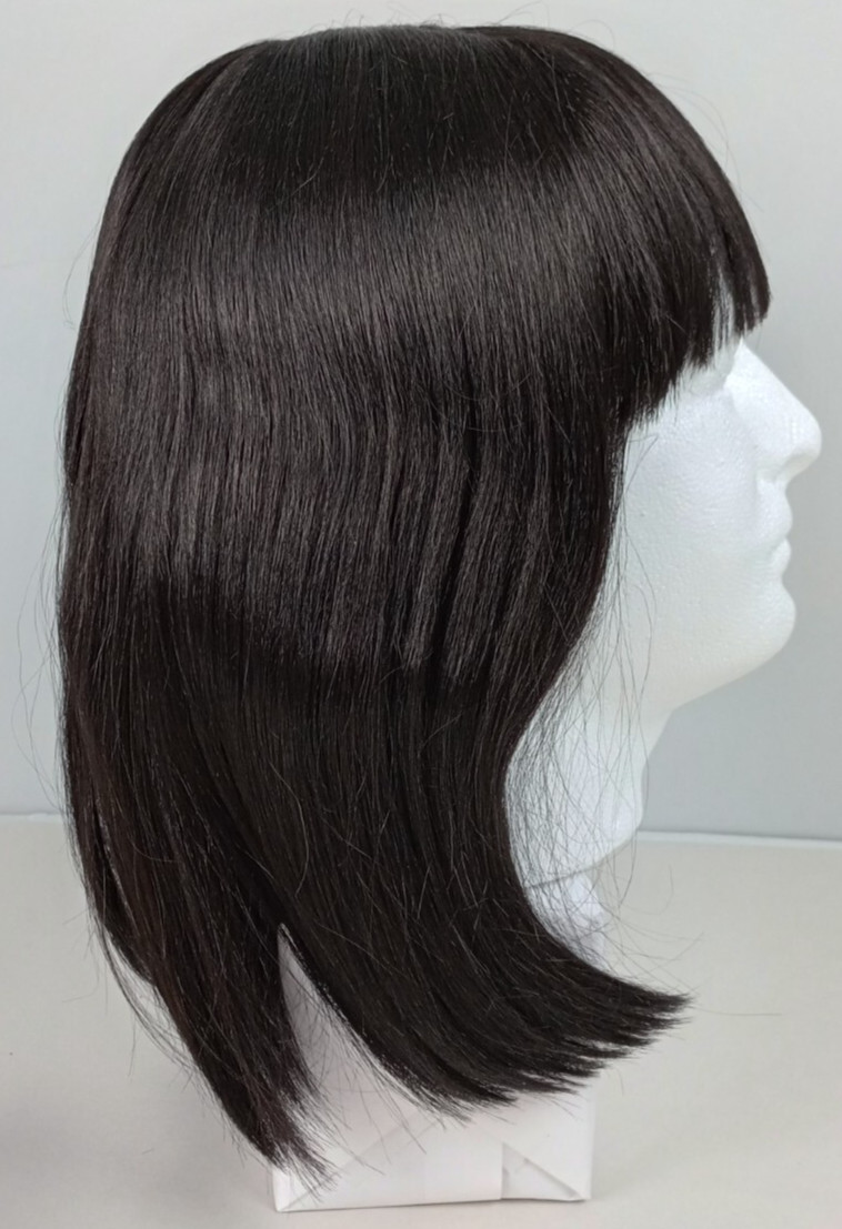 Aminow Shoulder Length Dark Brown Heat Resistant High Quality Wig 2 Caps
