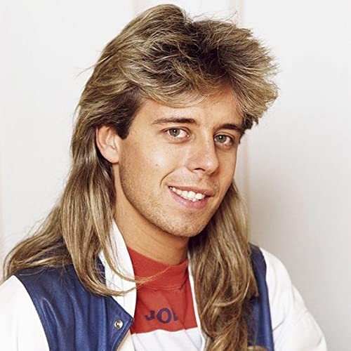 Mens Mullet Wig Synthetic Light Brown 70s 80s Halloween Cosplay Costume
