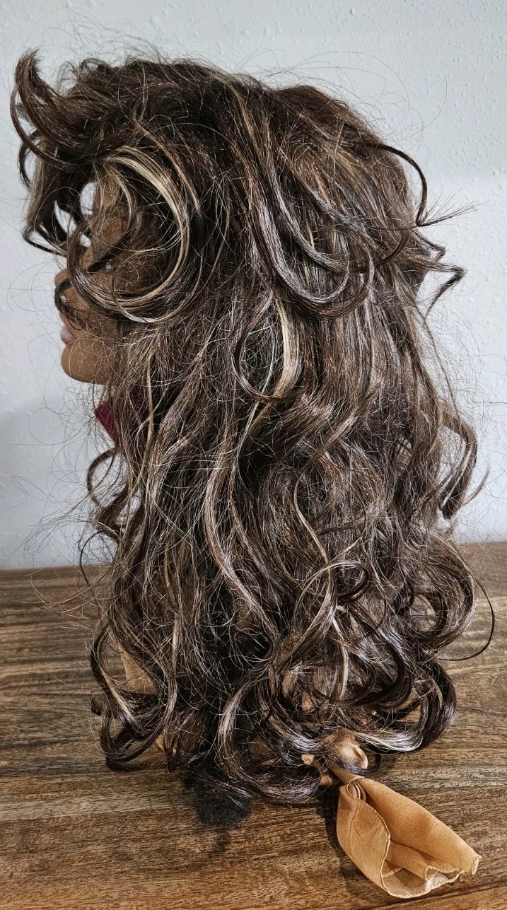 Long Layered Wig Synthetic Brown Bold Blonde Highlights Shag Siudus Heat Resist