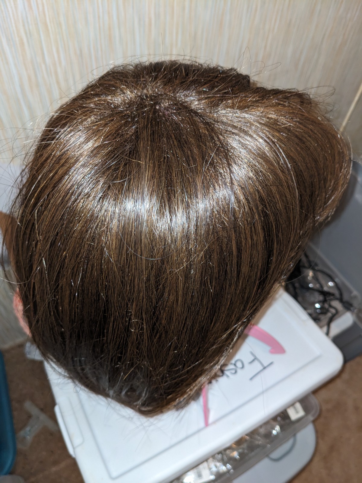 Hairdo Wig