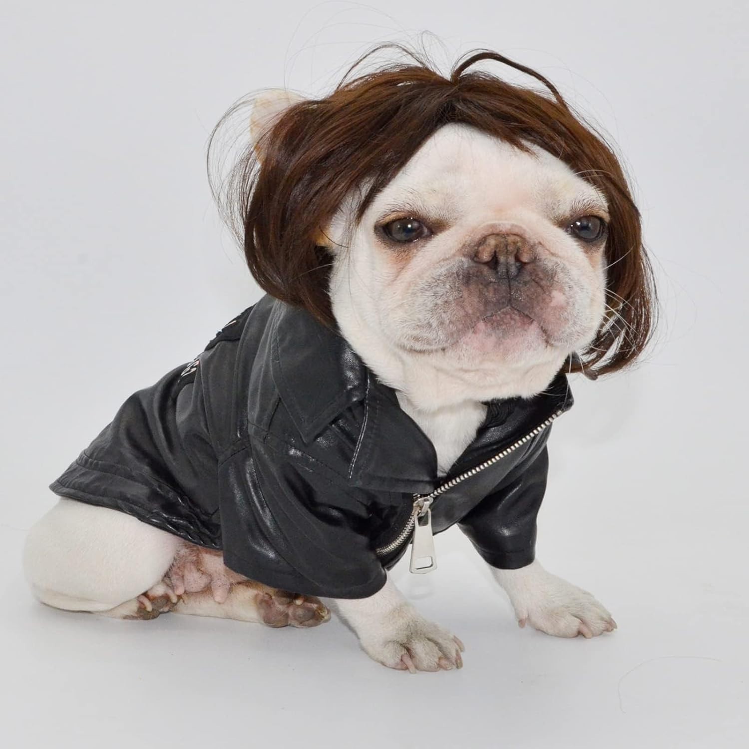 Versatile Black Brown Dog Costume Wig – Celebrate Halloween & Christmas