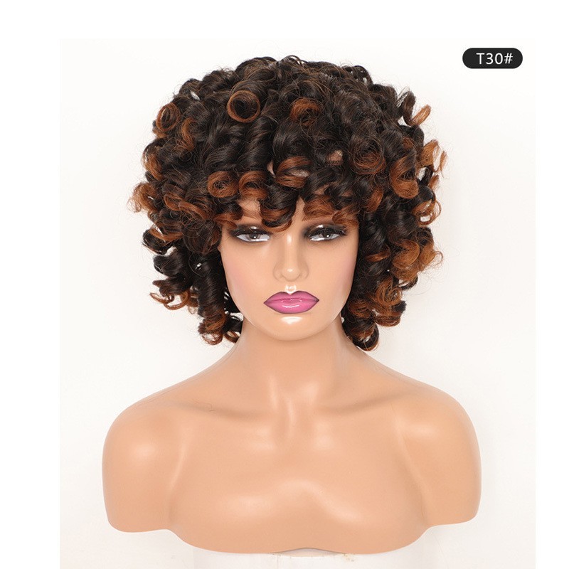 Short Curly Afro Synthetic Wig African American Cosplay Party Wig