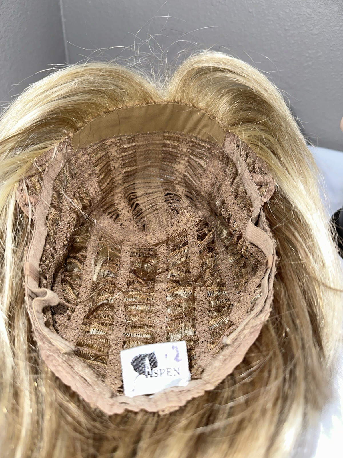 Aspen #2 Short Highlights Blonde Brown Mixed Layered Wig