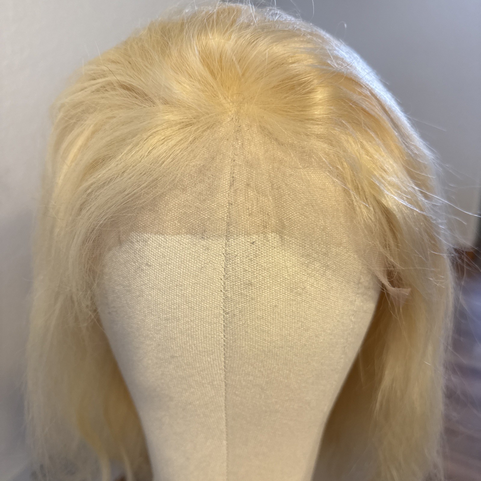 Human Hair Wig | 27” Light| Golden Blonde Highlight’s Lace Cap No Tags 144