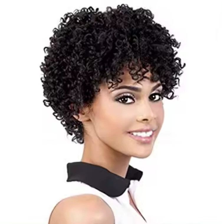 Pixie Cut Human Hair Wigs Afro Kinky Curly Black Wigs Full Machine Made Wig