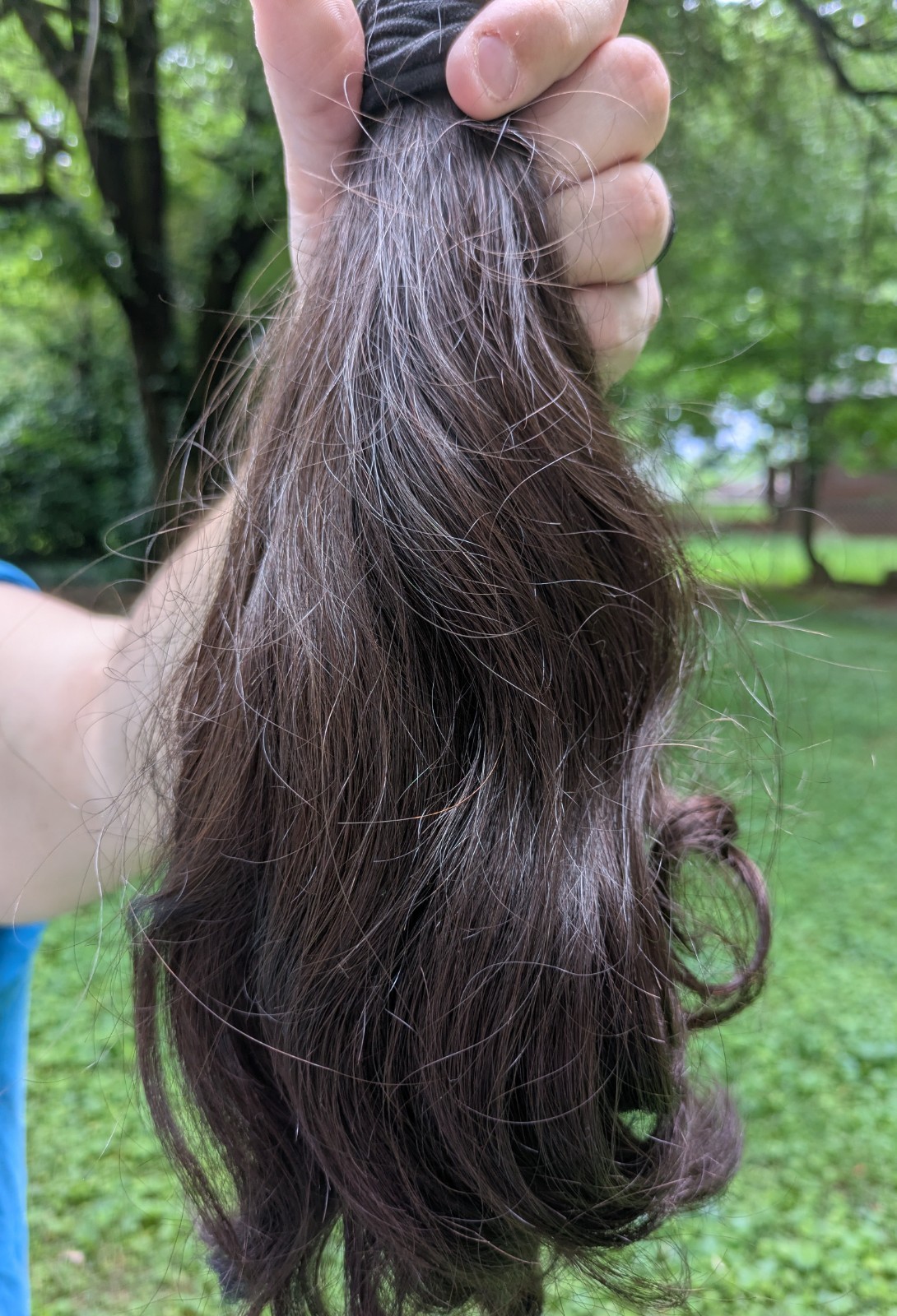 HEAVY THICK VIRGIN HUMAN HAIR Fresh Cut Ponytail NATURAL AUBURN HIGHLIGHTS
