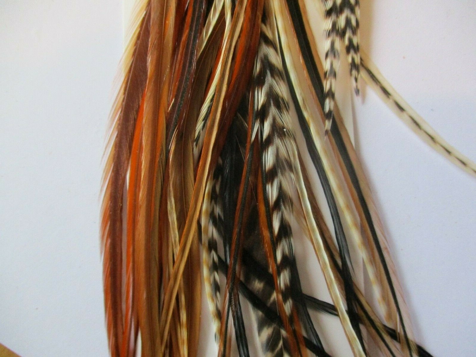 feather hair extensions ebay naturals 100 xxxl super long 9-13 inches feathers 