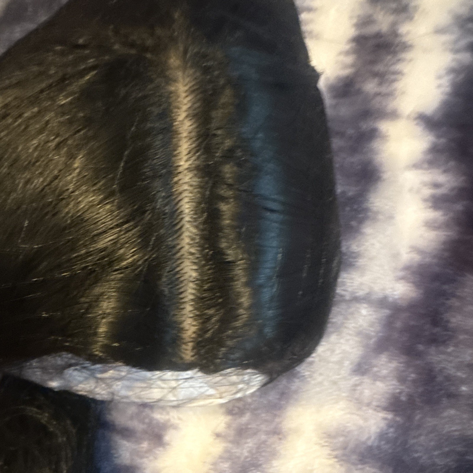 Black Straight Synthetic Clip-In Hairpiece Lace Front Free-Part One Size JY37037