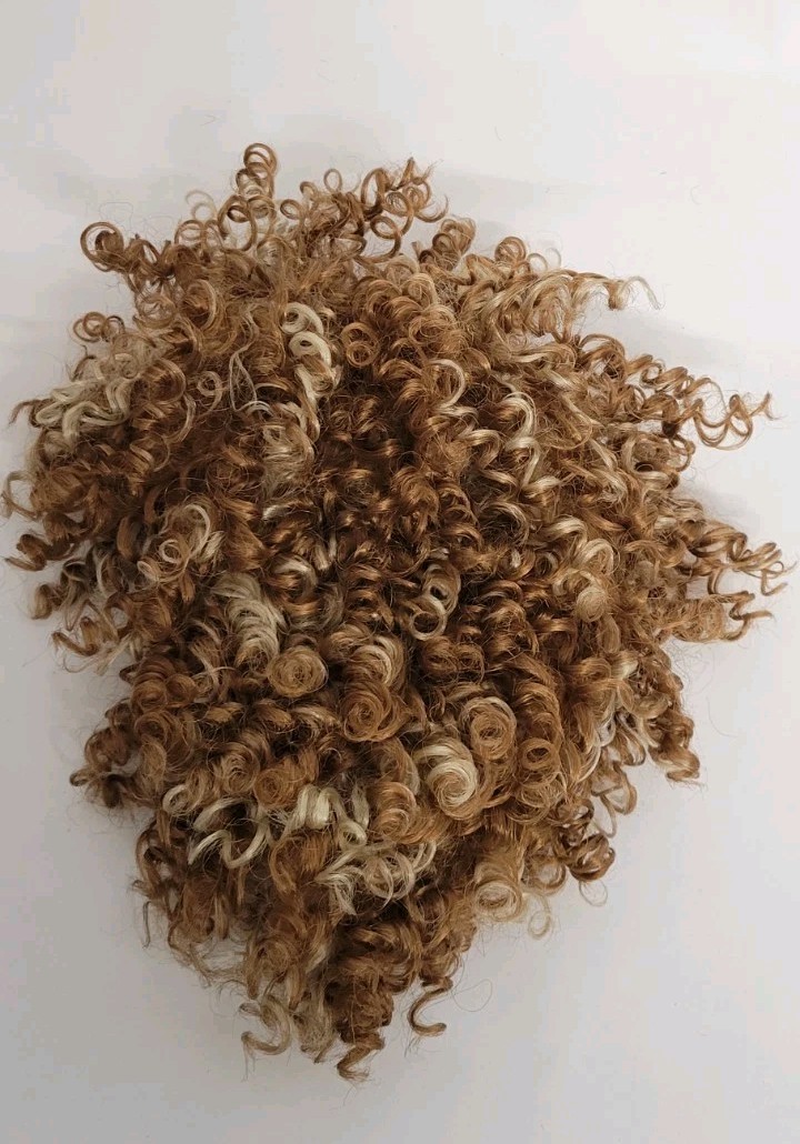💕SEXY SHORT SPIRAL CURL WIG FOR BLACK WOMEN MIXED BLONDE JAPAN ORIGIN BOBBIBOSS