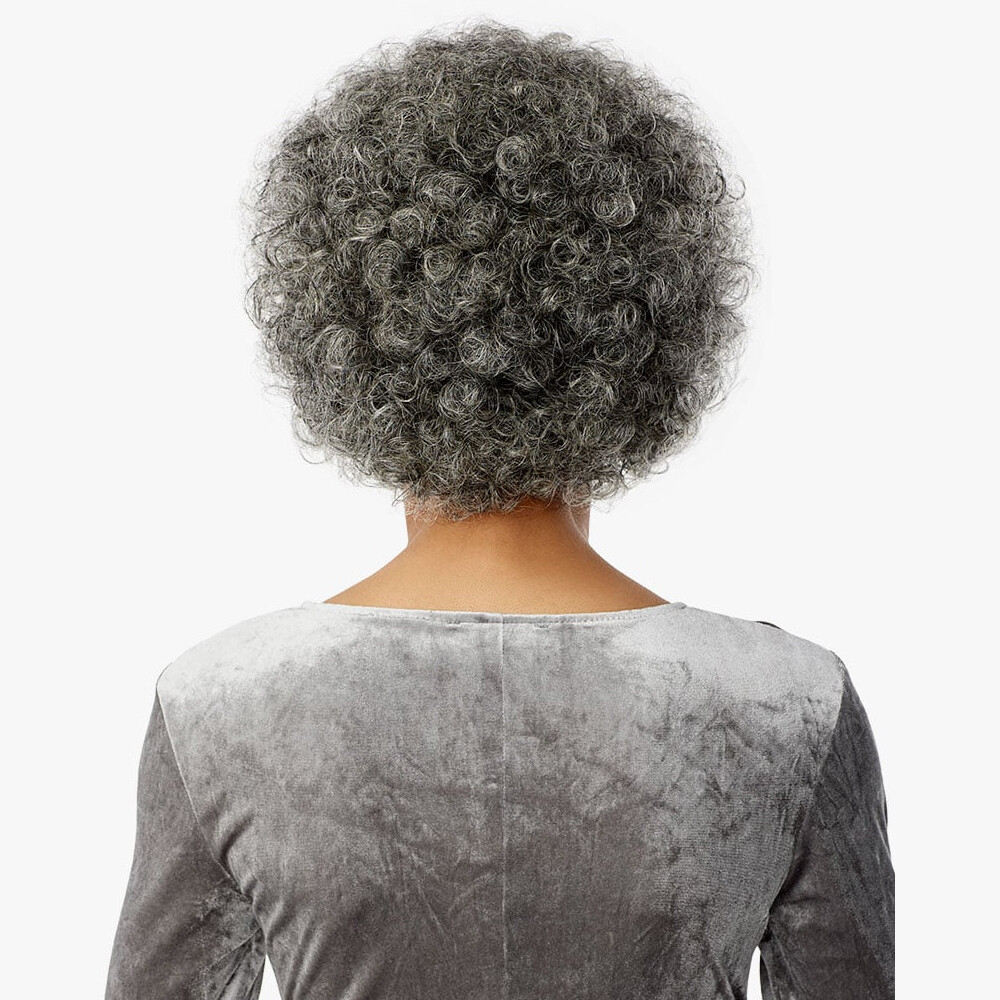 Sensationnel Empire Celebrity Series Salt & Peper Afro Wig – Bliss