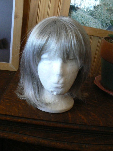 PAULA YOUNG SHADES OF GRAY WIG FOR WOMAN