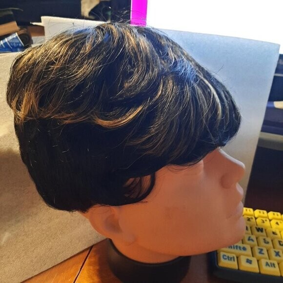 NEW ! 10×8 Women Luxury Hair Curly Cosplay Costume Wig Black