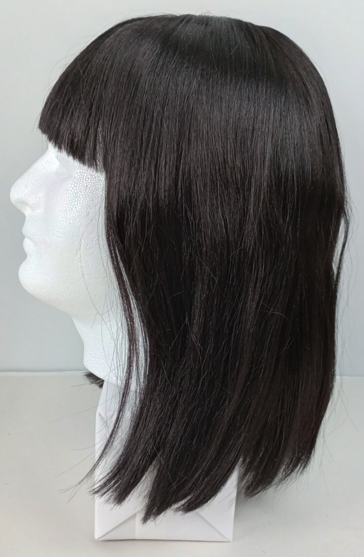 Aminow Shoulder Length Dark Brown Heat Resistant High Quality Wig 2 Caps