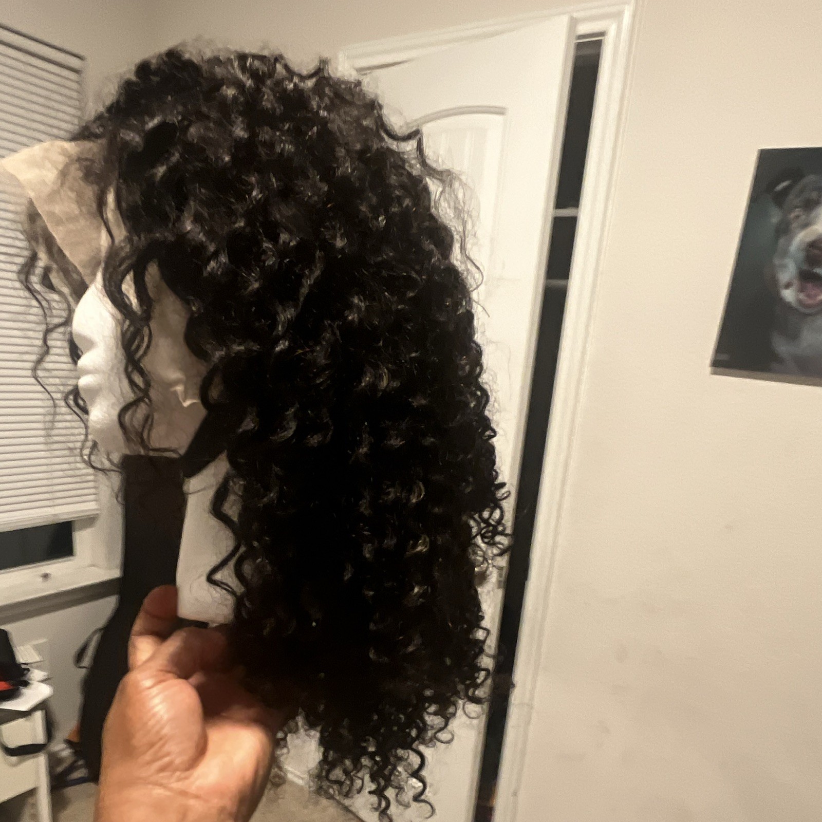 Lace Front Curly Human Hair Wig for Women Black Shade 21-30 in One Size