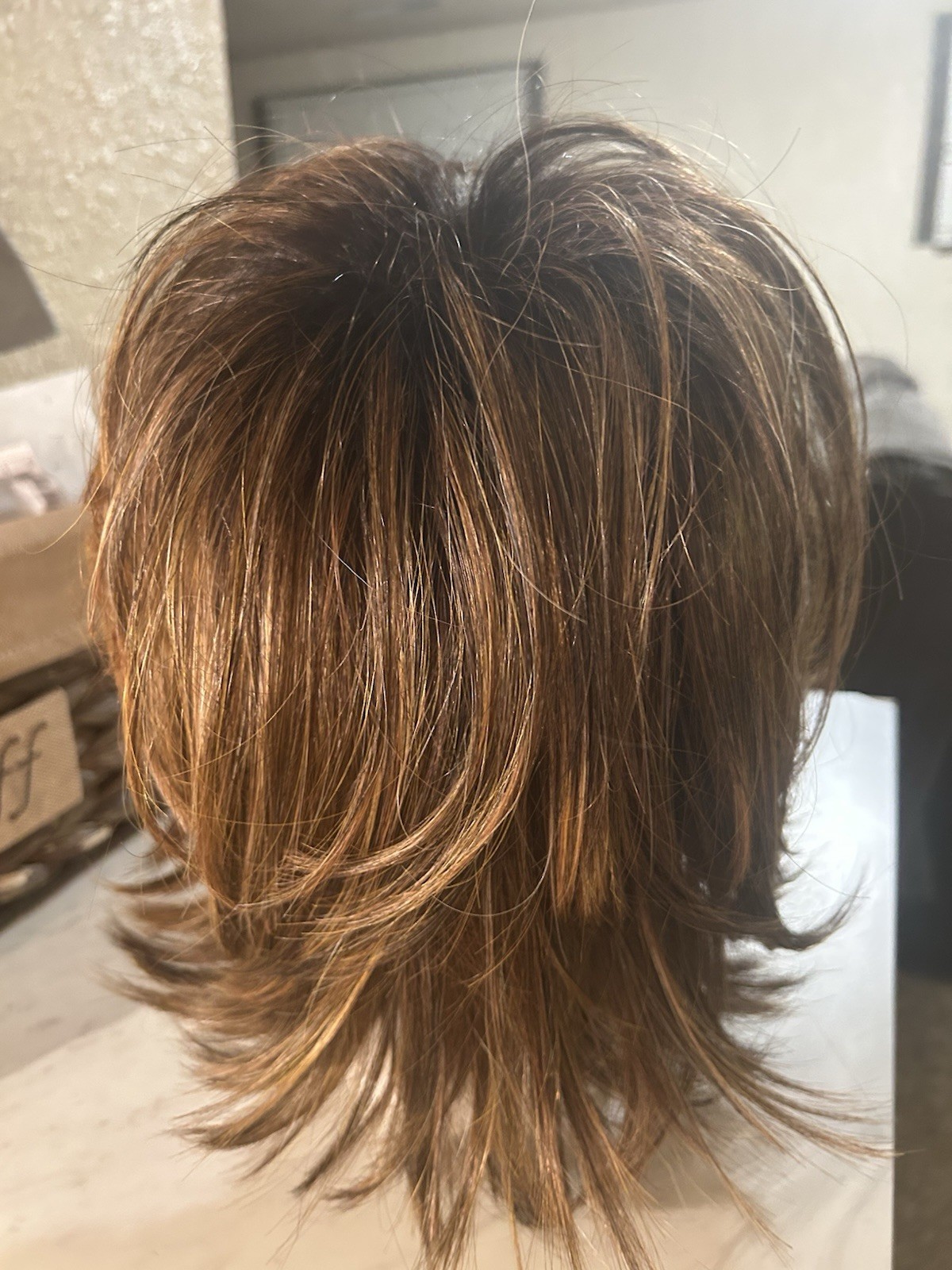 ALLURE Wig By HAIRDO In 8/29 SS Shadow Shades Hazelnut Basic Cap