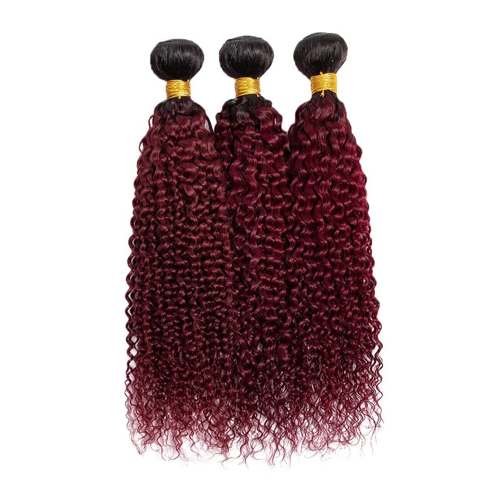 Hydtxc Human Hair Bundles Omber Burgundy T1B/99J Jerry Curly Human Hair Bundles