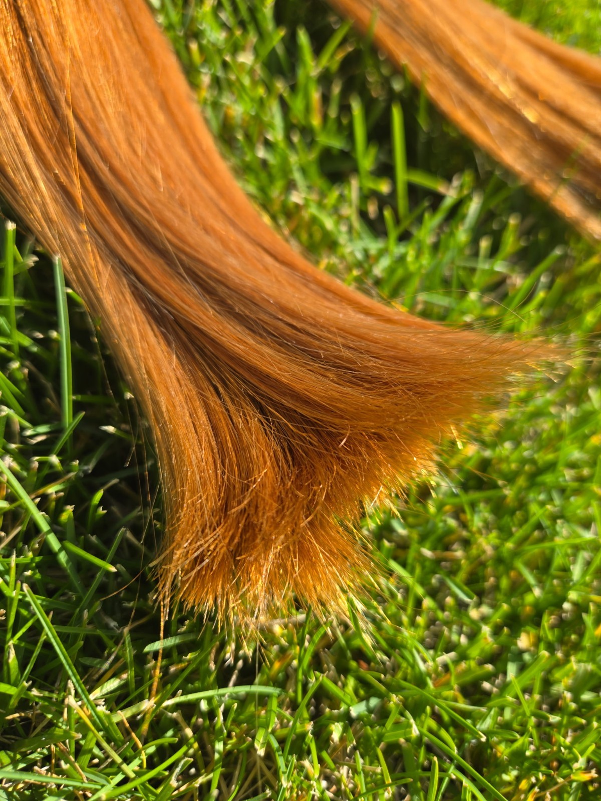 2 – 14inch bundles of Red Virgin Human Hair ~ 65 grams each